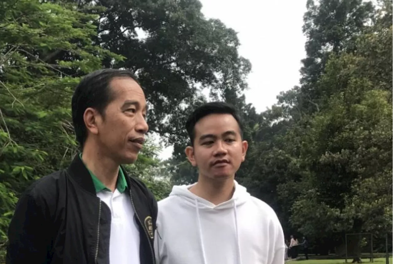 Jokowi Hormati Proses Hukum Penetapan Hasto Kristiyanto Tersangka