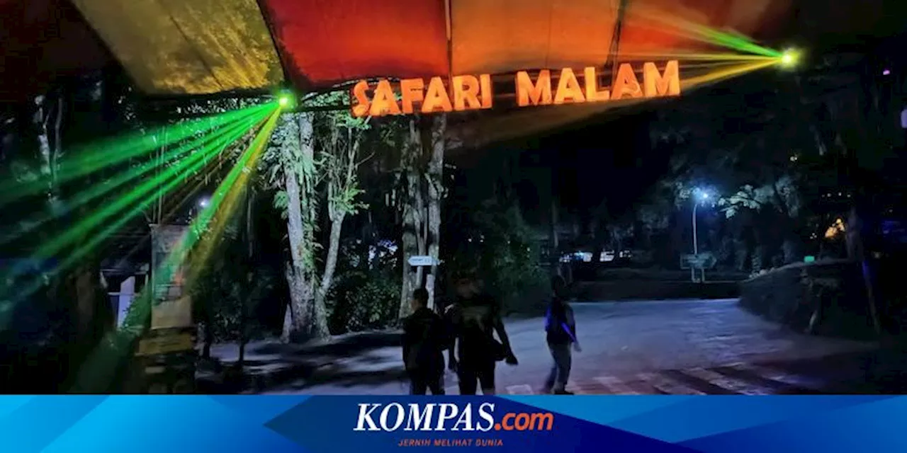 Promo Obyek Wisata Selama Libur Nataru 2024/2025, Ada Taman Safari dan Ancol