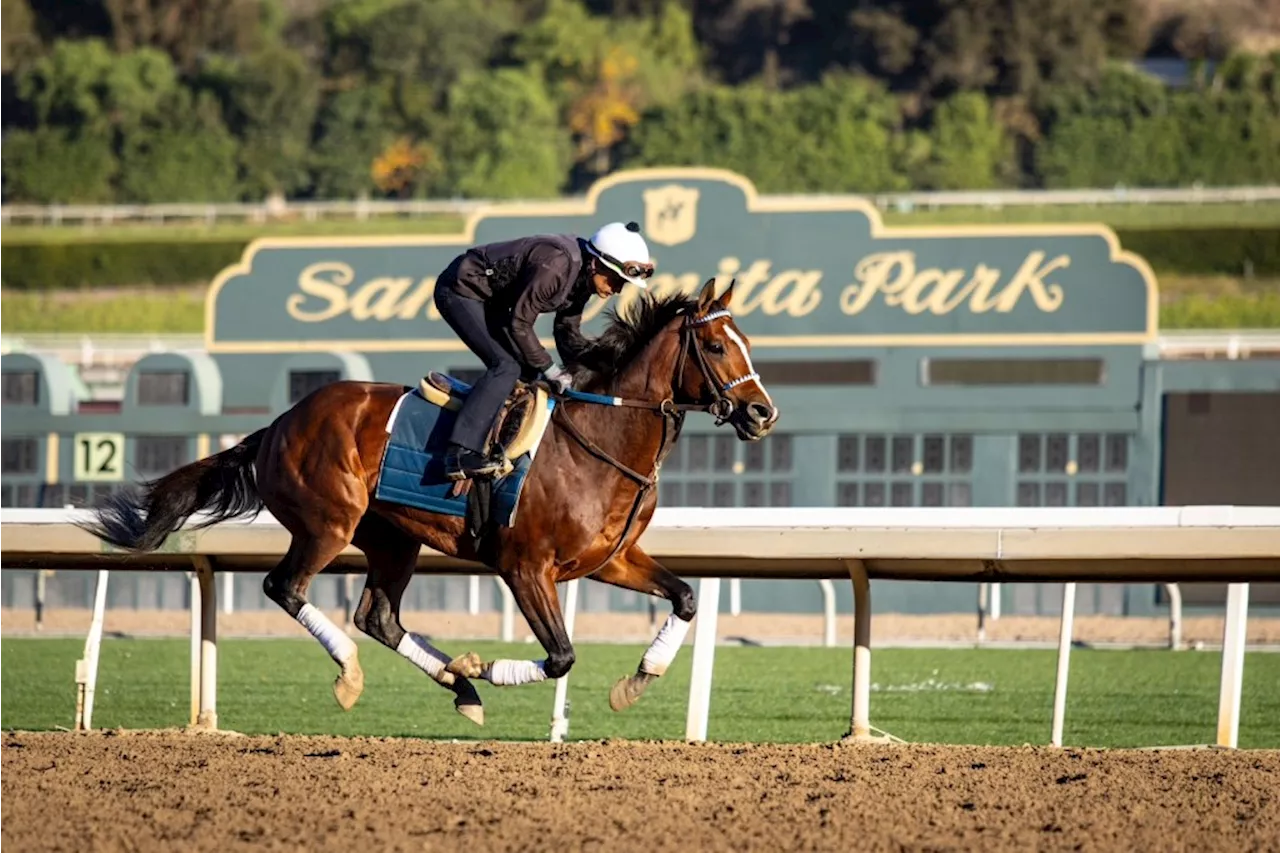 Kentucky Derby Winner Mystik Dan Targets Malibu Stakes at Santa Anita