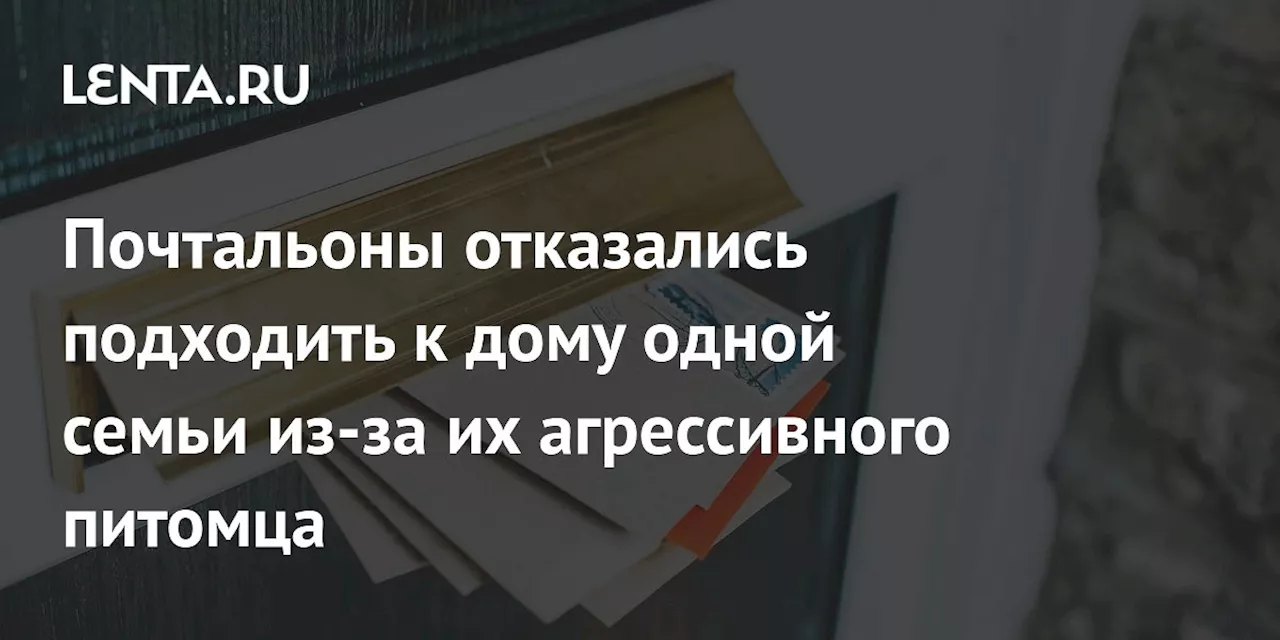 Почтальоны отказались доставлять почту супругам из-за агрессивного кота