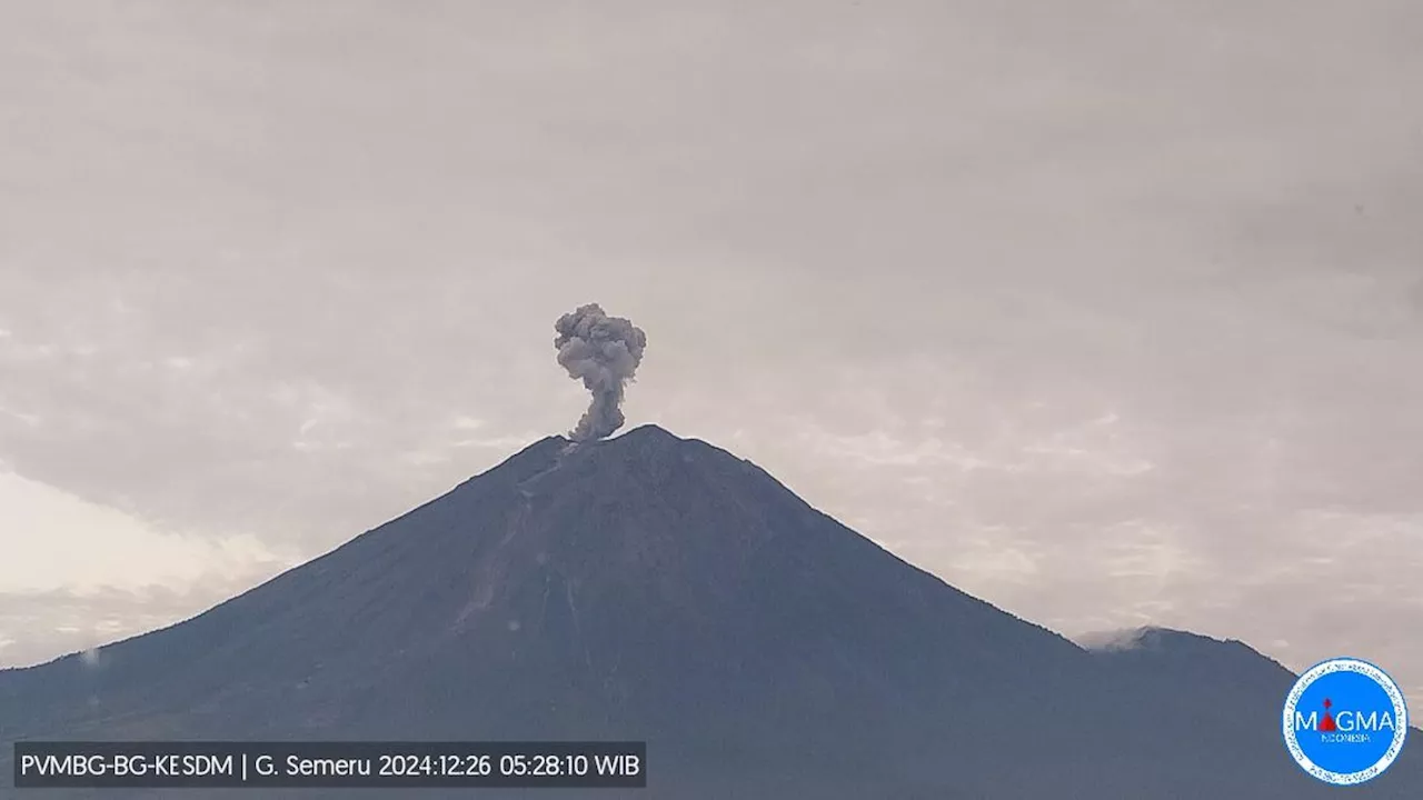 Gunung Semeru Erupsi Lagi