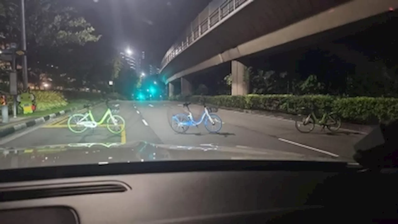 Singapore Cops Nab Two Teens Over Bicycle Prank Blocking Three-Lane Road