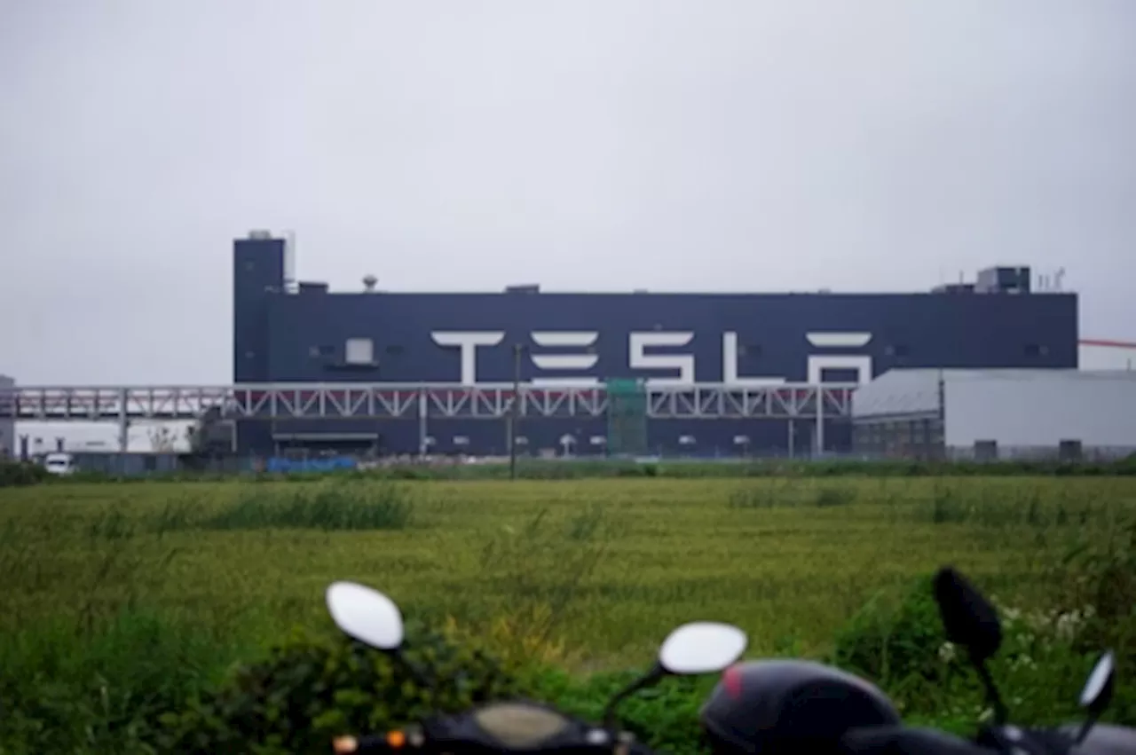 Tesla's Shanghai Mega Factory to Complete Construction by Year-End