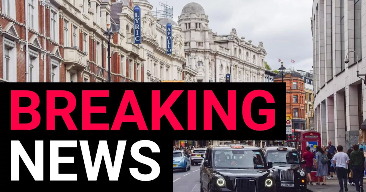 Man arrested on suspicion of attempted murder after driving car into crowd in London