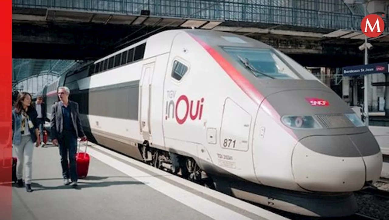 Maquinista se suicida saltando de tren en marcha, causando grandes perturbaciones en línea de alta velocidad