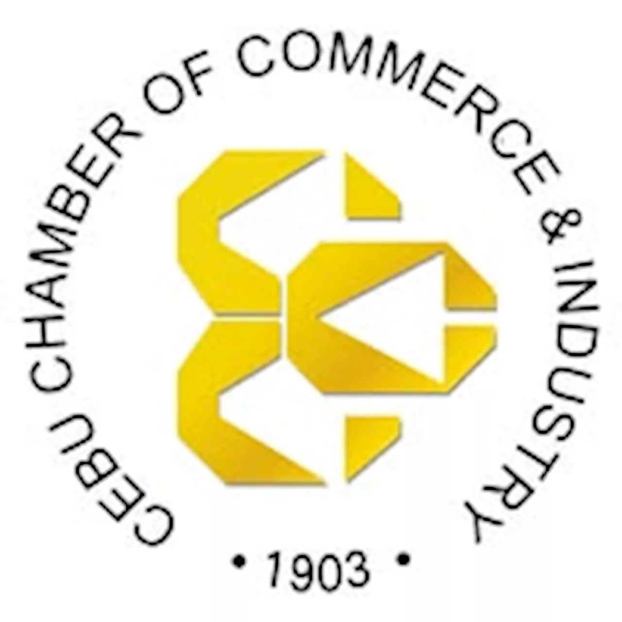 Cebu Chamber Launches 'Power Alliance' to Address Growing Energy Demand