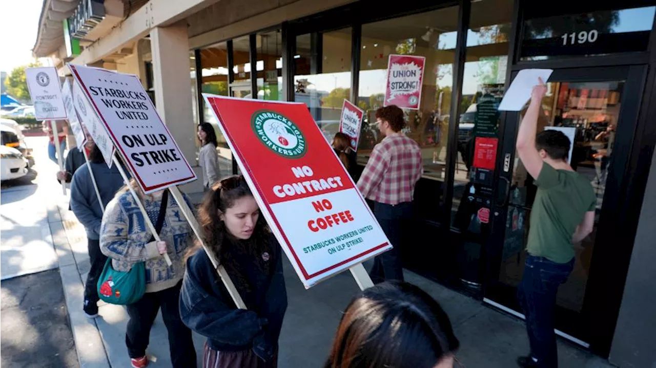 Starbucks Baristas Strike Over Contract Disputes