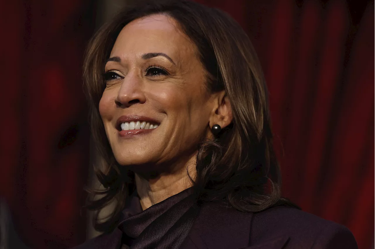 GOP Strategist Predicts Harris Won't Be 2028 Democratic Nominee