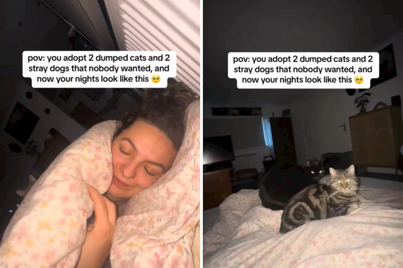 Woman's Bedtime Routine with Adopted Pets Touches Hearts