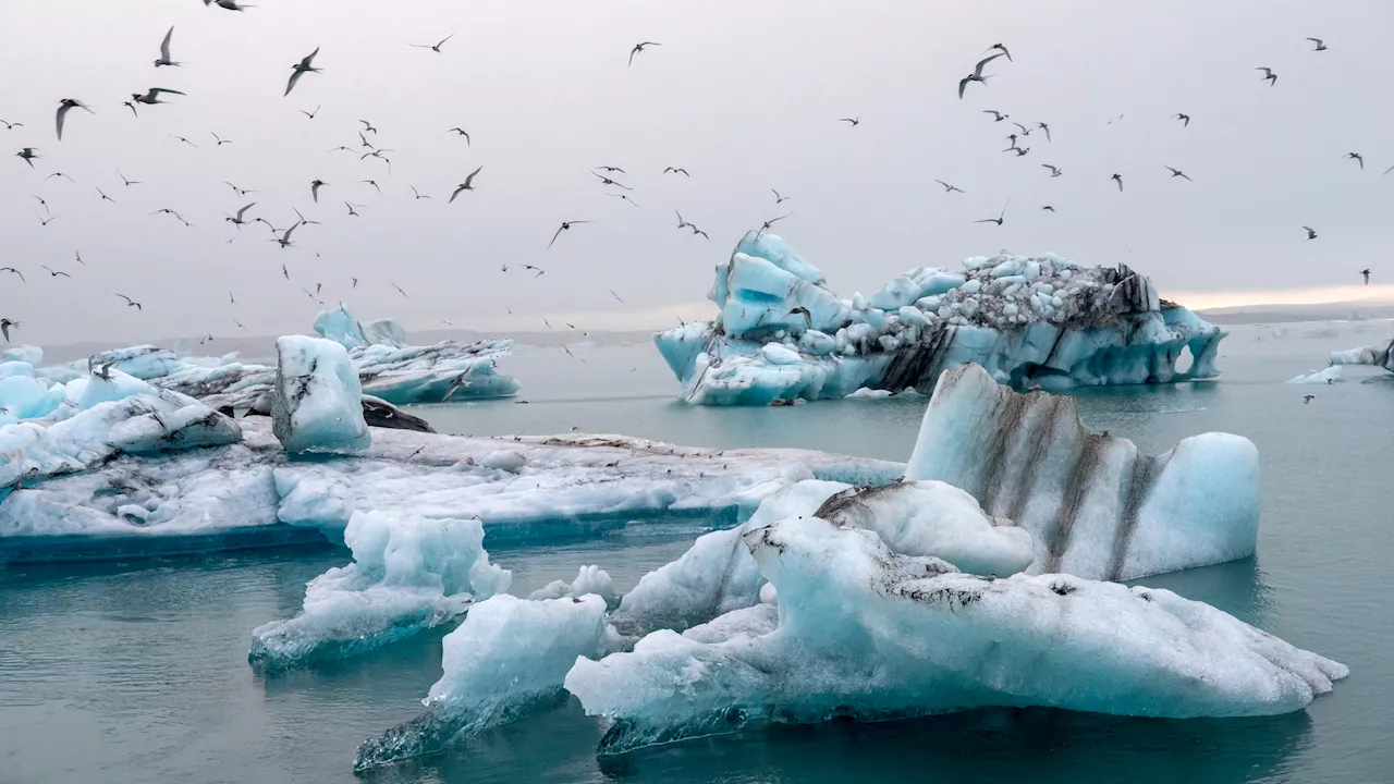 Dr. Doom: My Dad's Climate Change Obsession