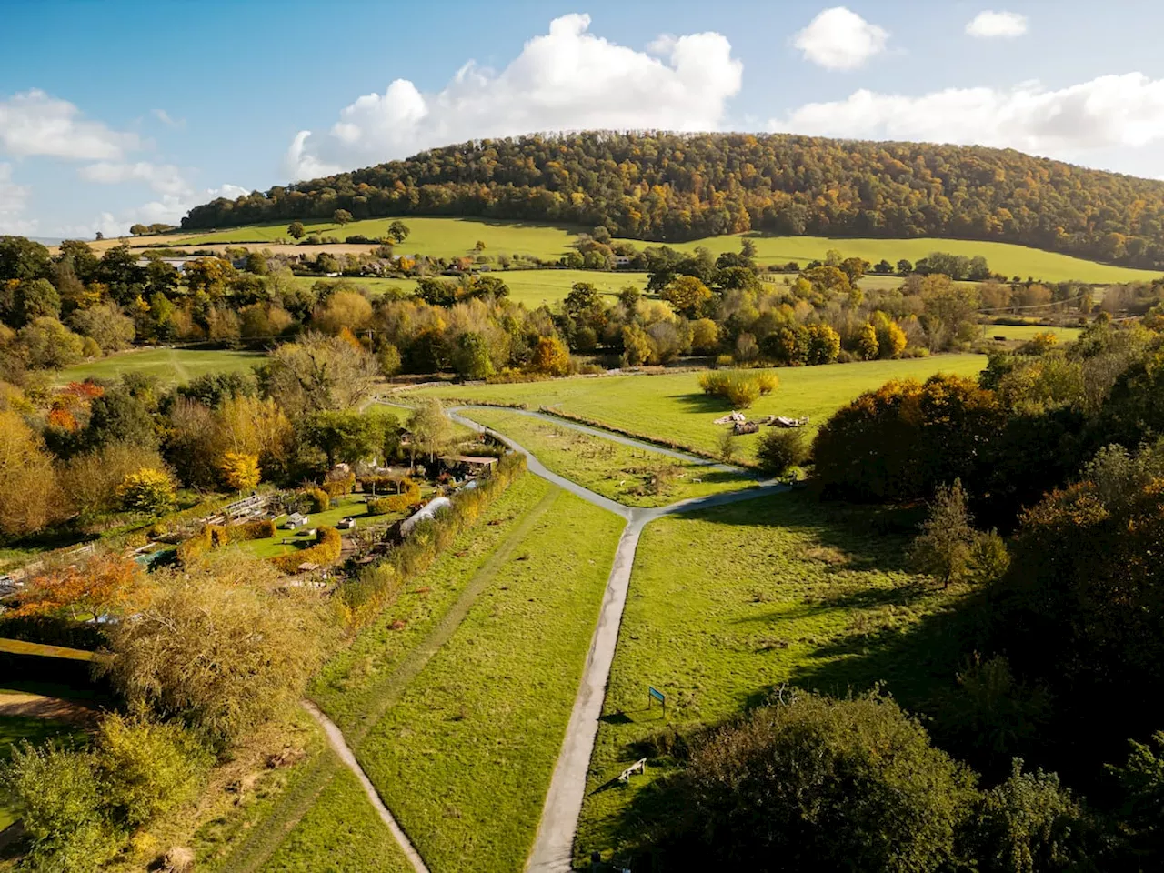 Shropshire Wildlife Trust Reaches Target to Restore Betchcott Hill