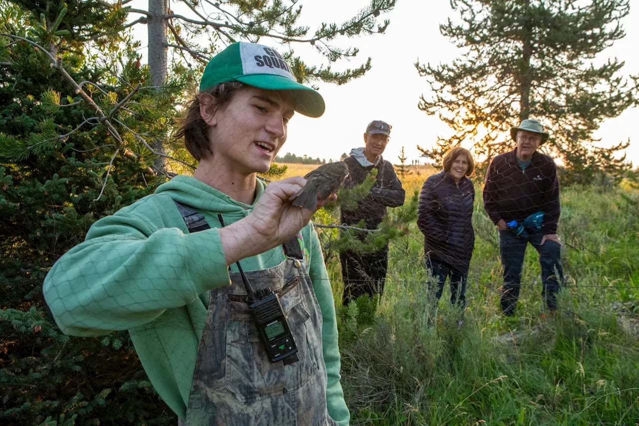 Weber State University Plans New Research Station in Yellowstone National Park