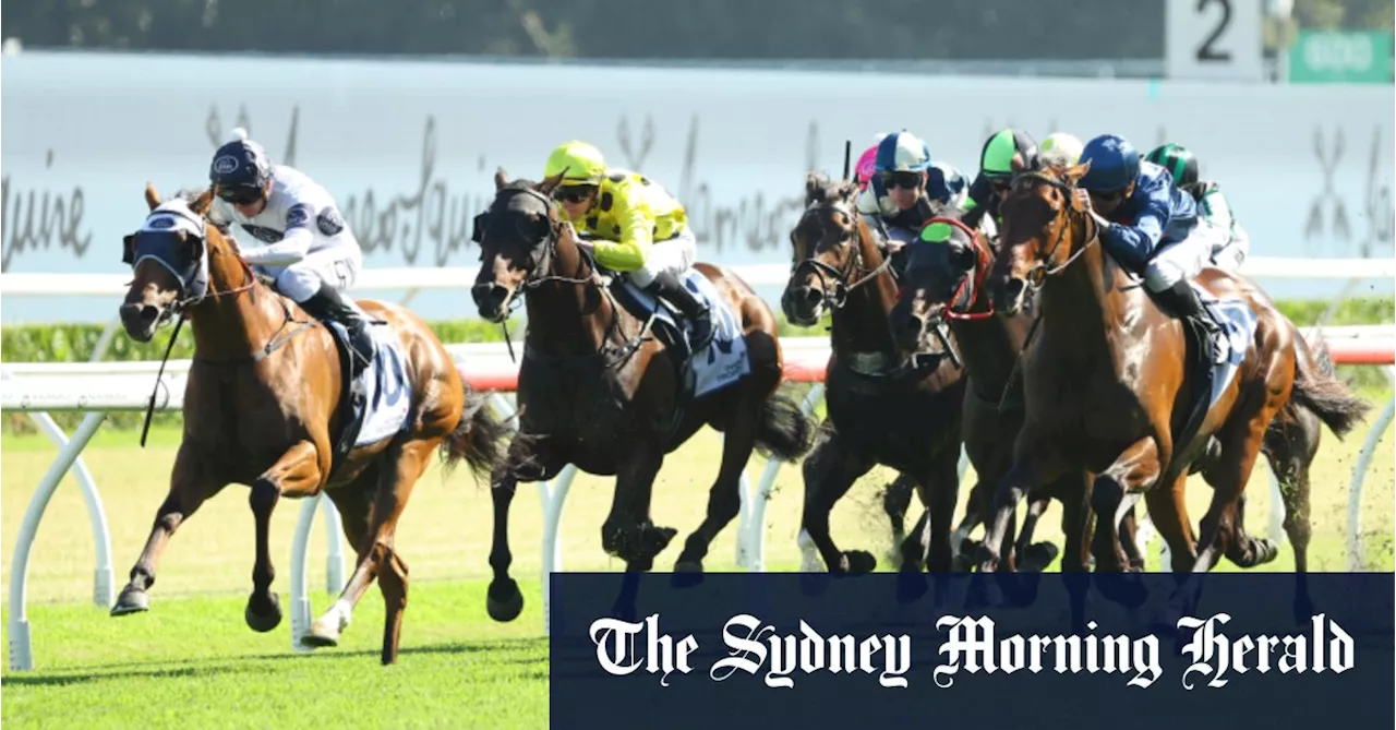 Horse Racing Tips: Strong Contenders for Upcoming Races