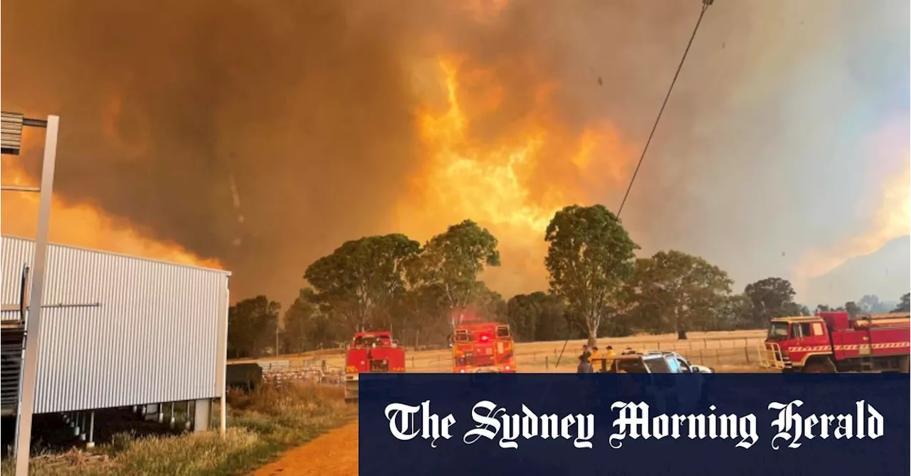 Victoria Braces for Devastating Bushfire Conditions on Boxing Day