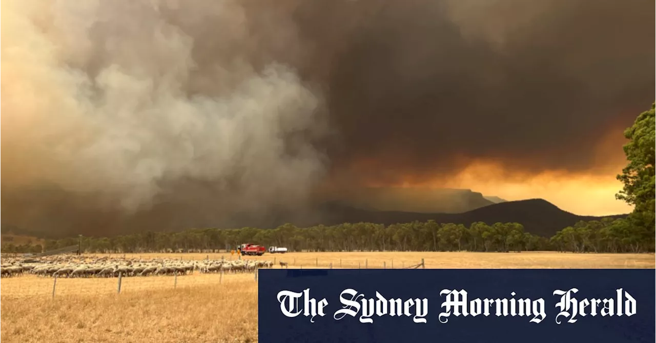 Victoria Faces Worst Bushfire Conditions Since Black Summer