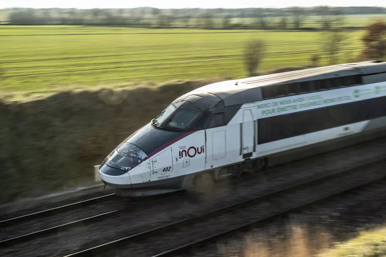 « Merci pour ce réveillon la SNCF » : des milliers de voyageurs bloqués après un accident mardi soir la ligne TGV du Sud-Est