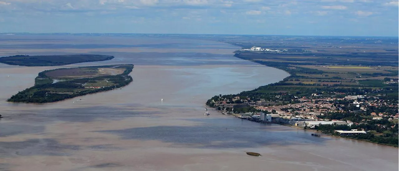 Un pont à Blaye plutôt qu'au Verdon