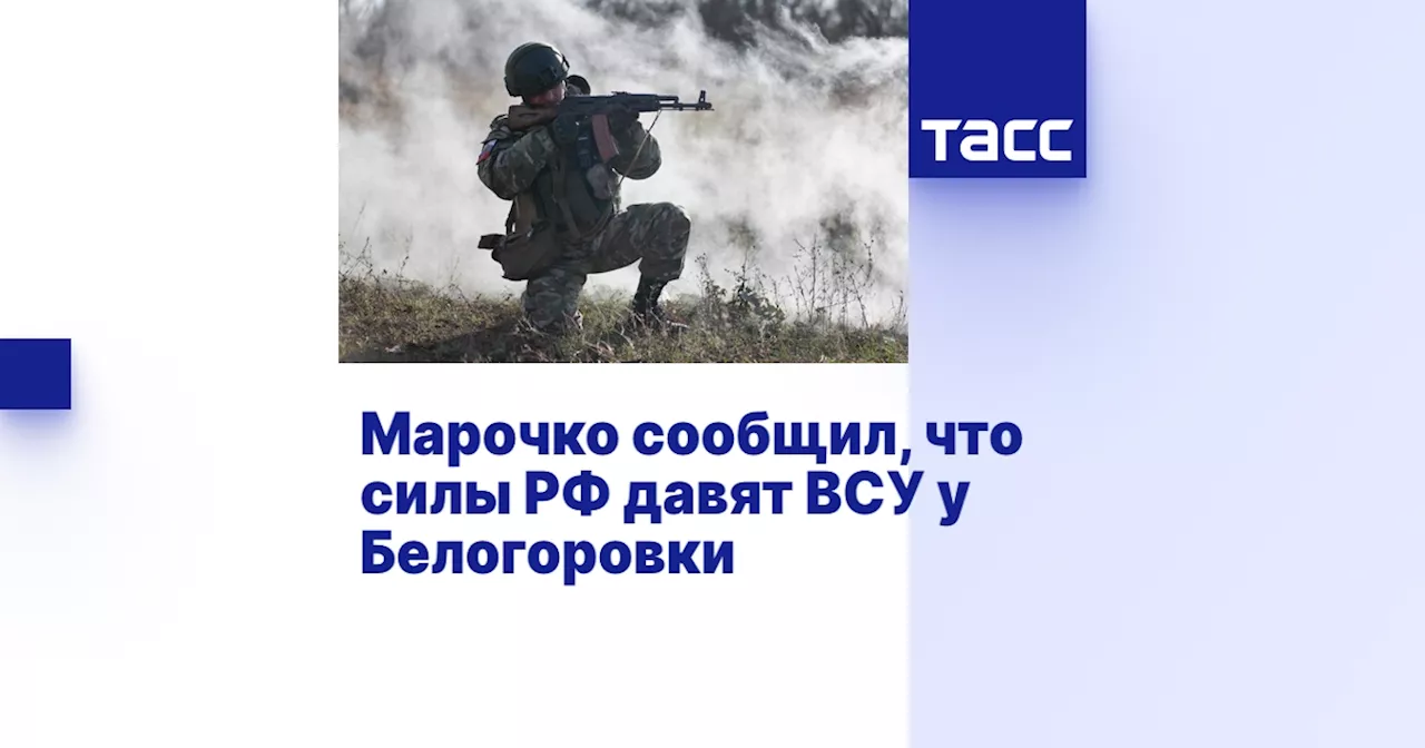 Марочко сообщил, что силы РФ давят ВСУ у Белогоровки