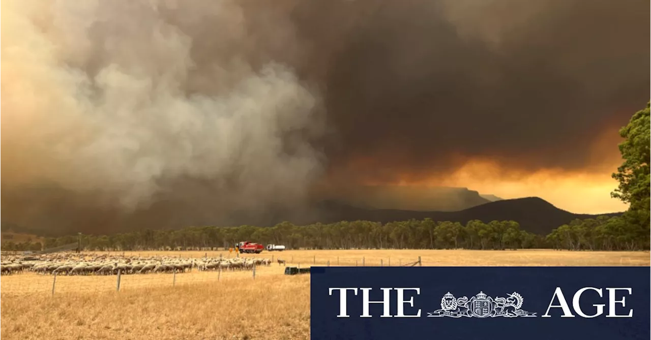 Urgent Evacuations Ordered in Victoria as Bushfires Rage