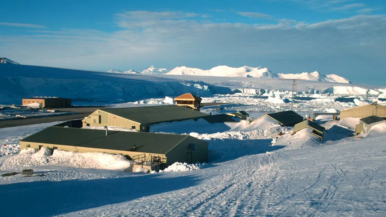 British Staff in Antarctica Celebrate Christmas with Festive Spirit