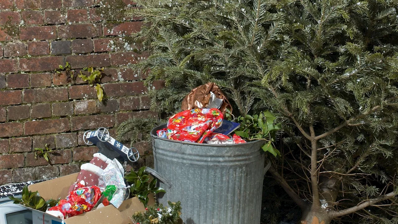 Christmas Waste Fines: What Can Be Recycled?