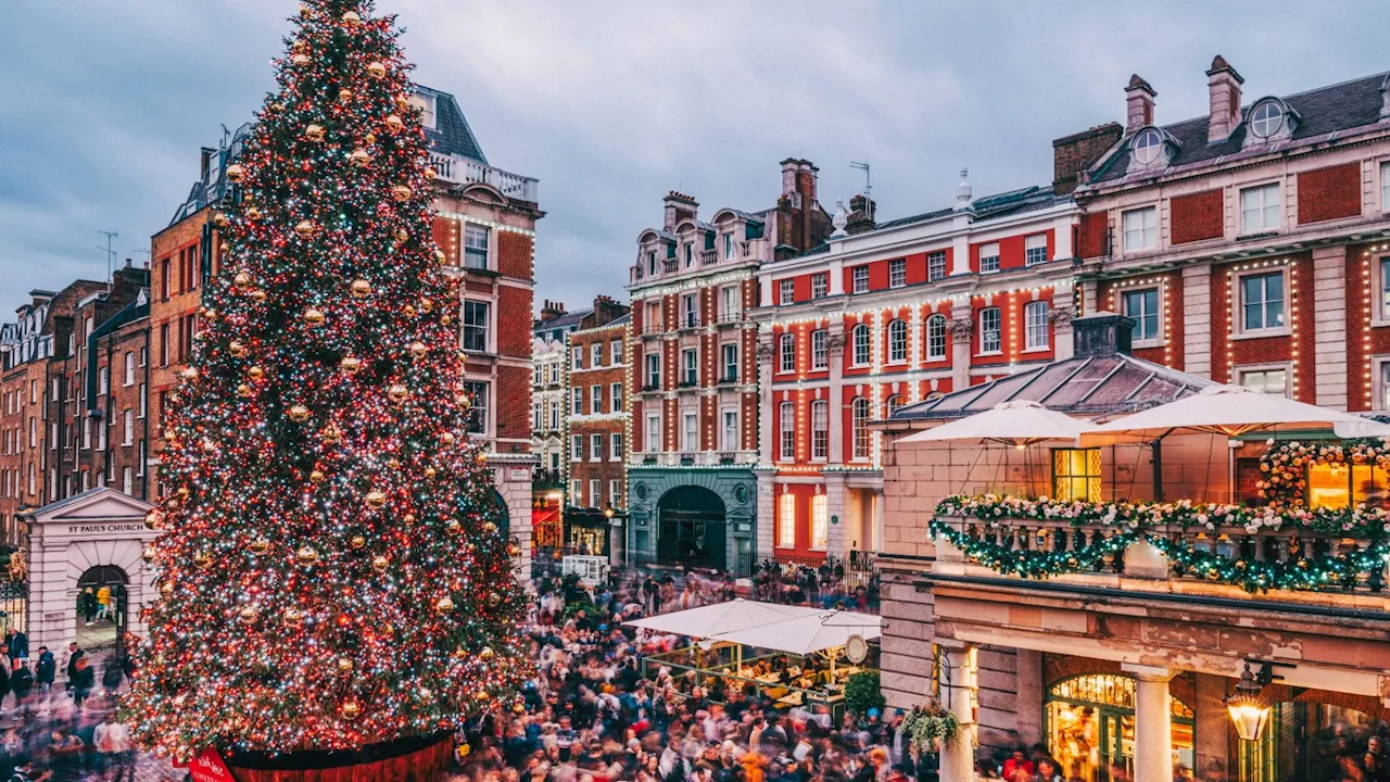 Green Christmas in the UK: No Snow or Frost Expected