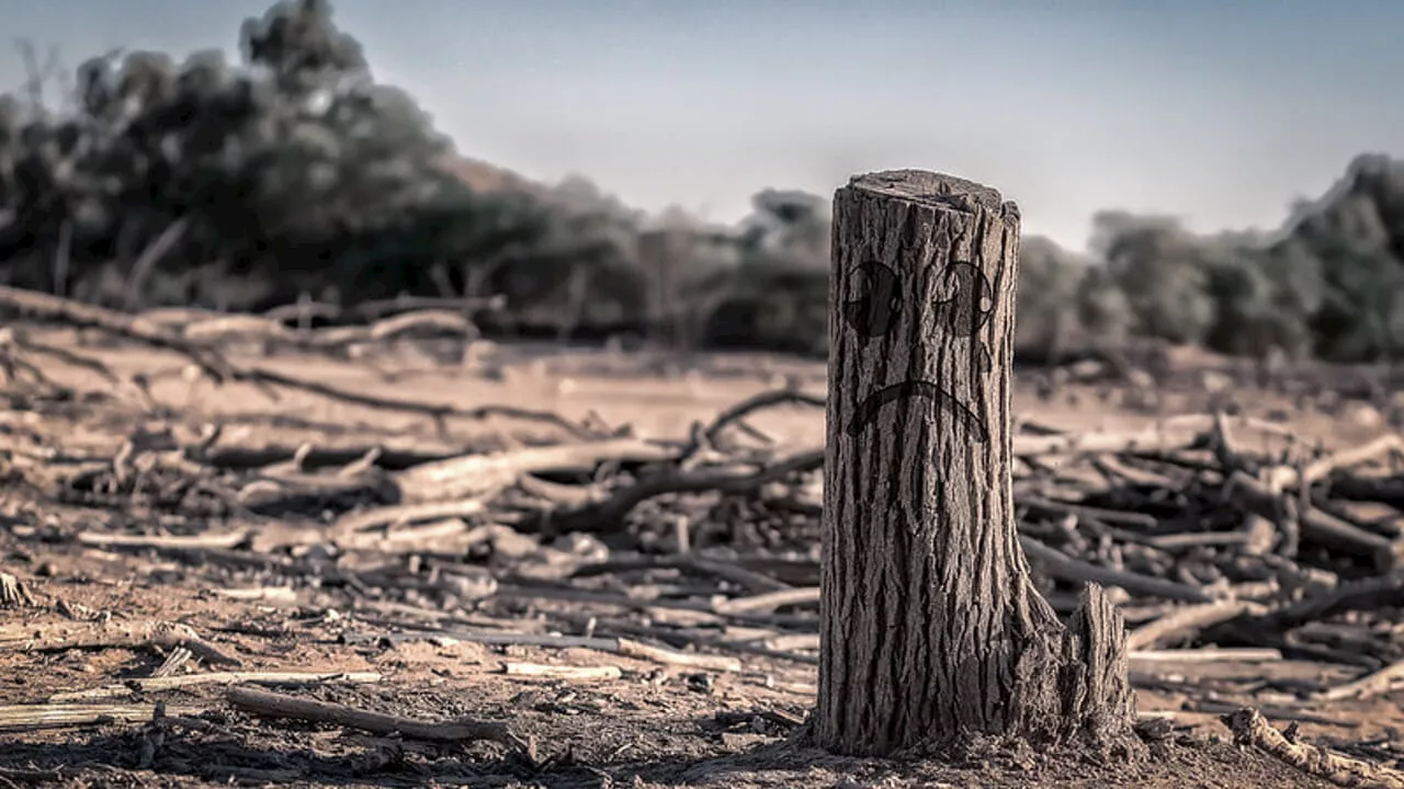 Il cambiamento climatico: accettare la realtà e agire