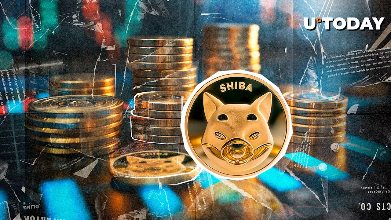 SHIB Metaverse: A Reminder of its Potential