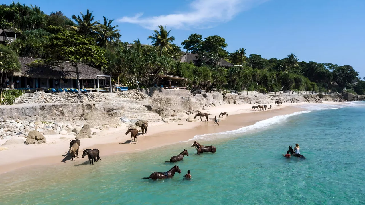 Sumba: L'Isola dei Cavalieri e delle Tartarughe