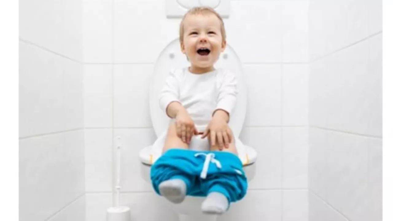 Toilet Training: Kunci Kesuksesan dan Tips untuk Orang Tua