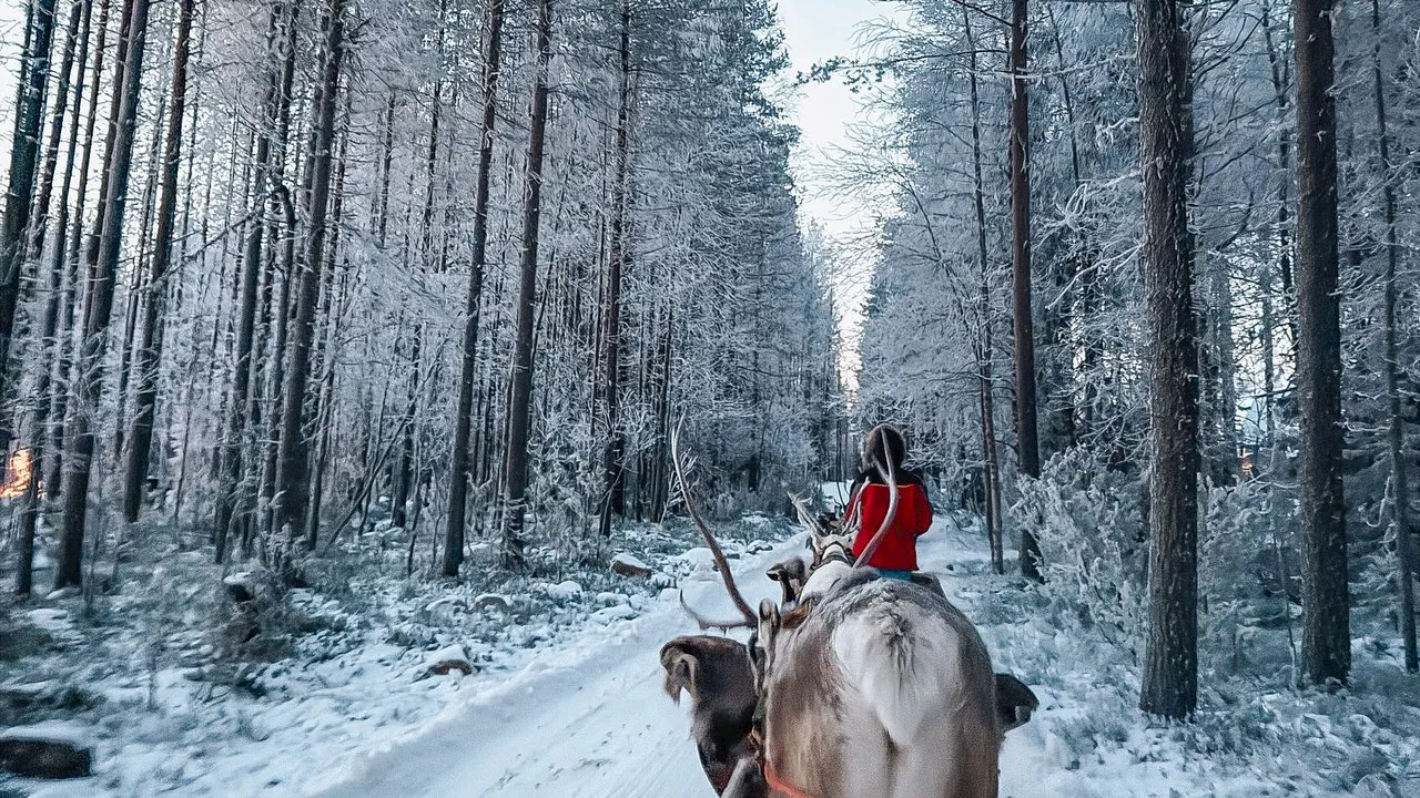 Il mio viaggio in Lapponia da Babbo Natale