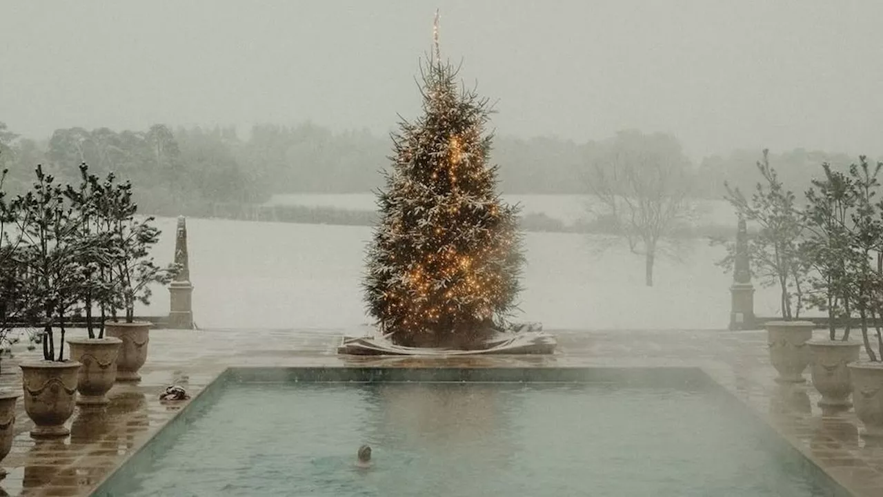 Les Plus Beaux Sapins de Noël dans les Hôtels de Luxe