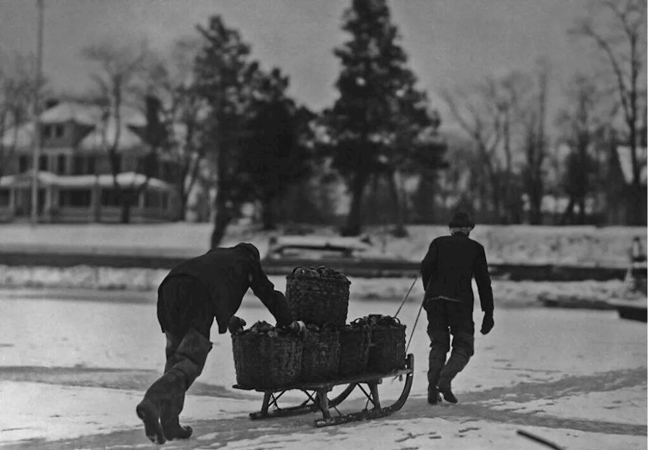 Oysters: The Unexpected Holiday Star