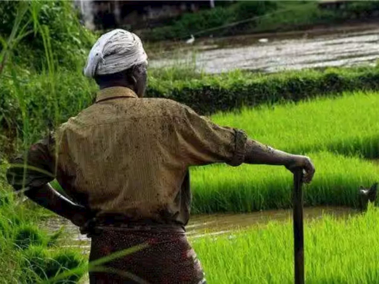 मुख्यमंत्री सौर कृषी वाहिनी योजना २.०