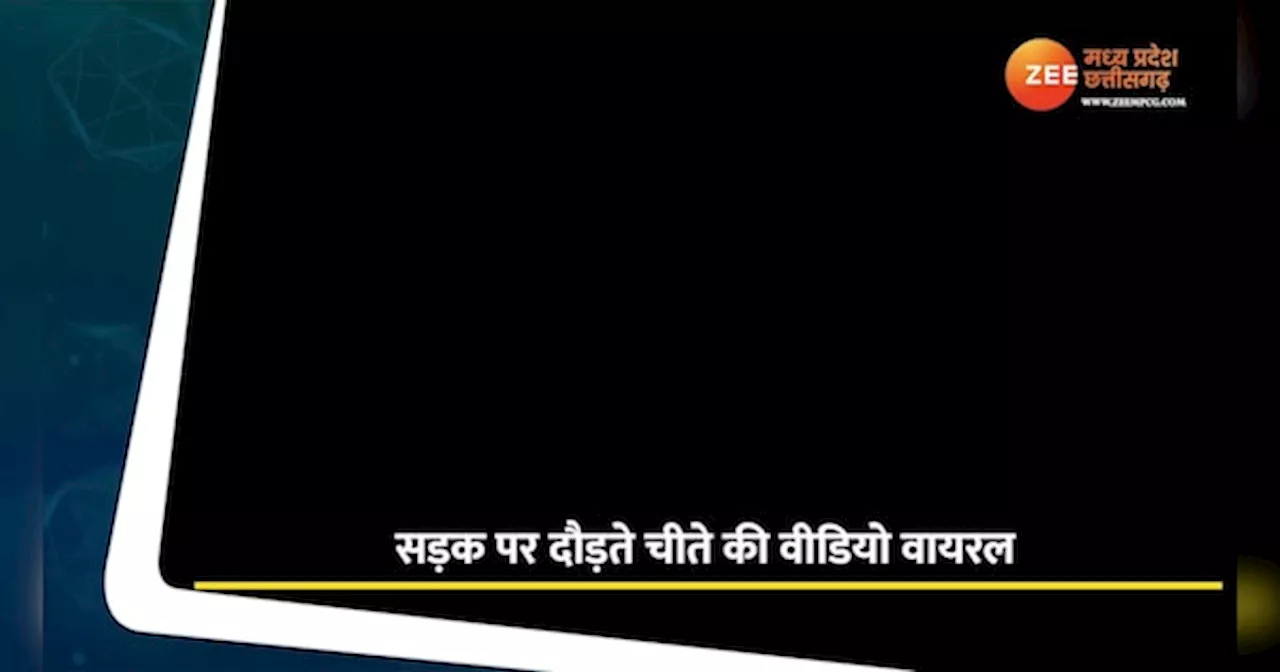 MP में जयपुर जैसा हादसा; आग का गोला बनी चलती ट्रक, खौफनाक वीडियो आया सामने