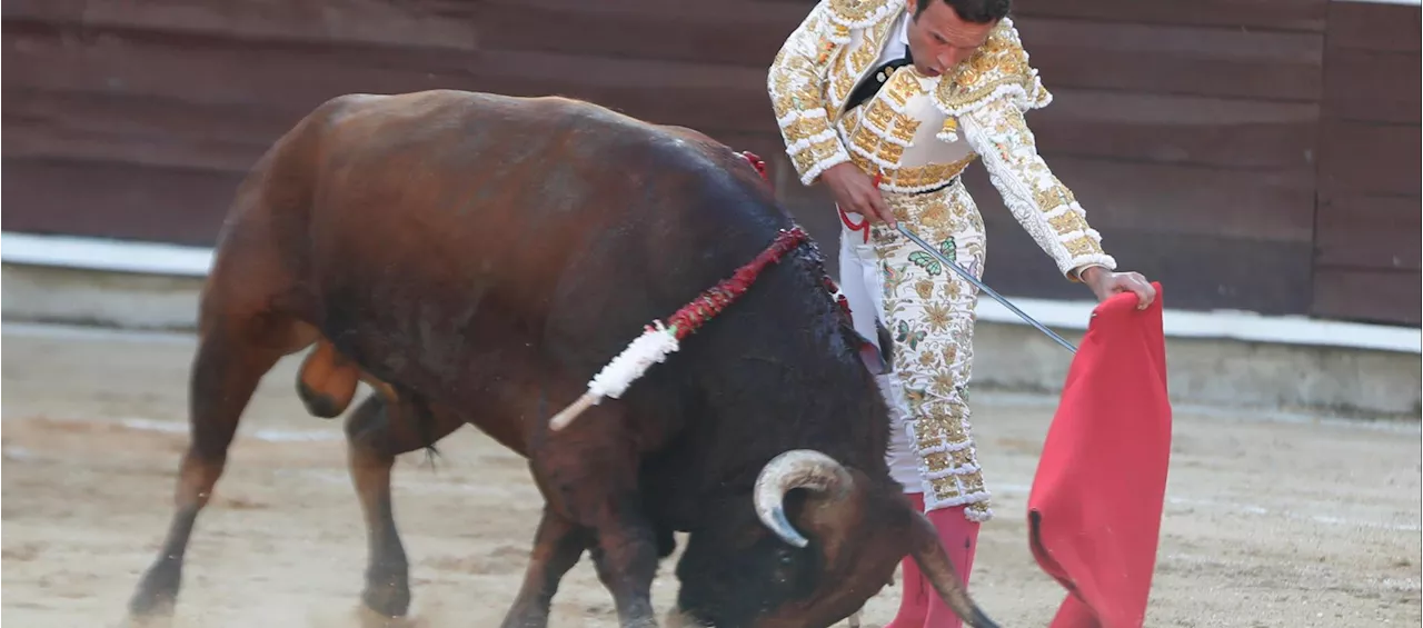 Con ferias de Cali y Manizales, tradición taurina en Colombia sigue vigente