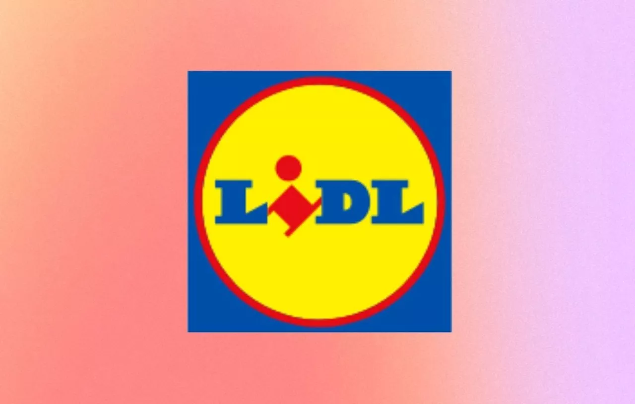 3 Offres Parkside Incontournables chez Lidl