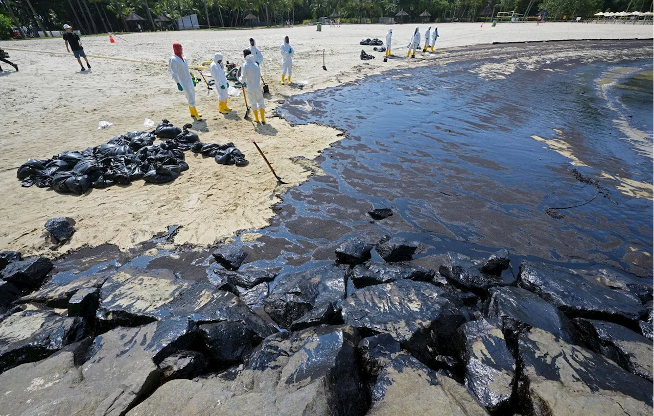 Pérou : Après une fuite de pétrole, le pays déclare « l’urgence environnementale » dans une zone touristique