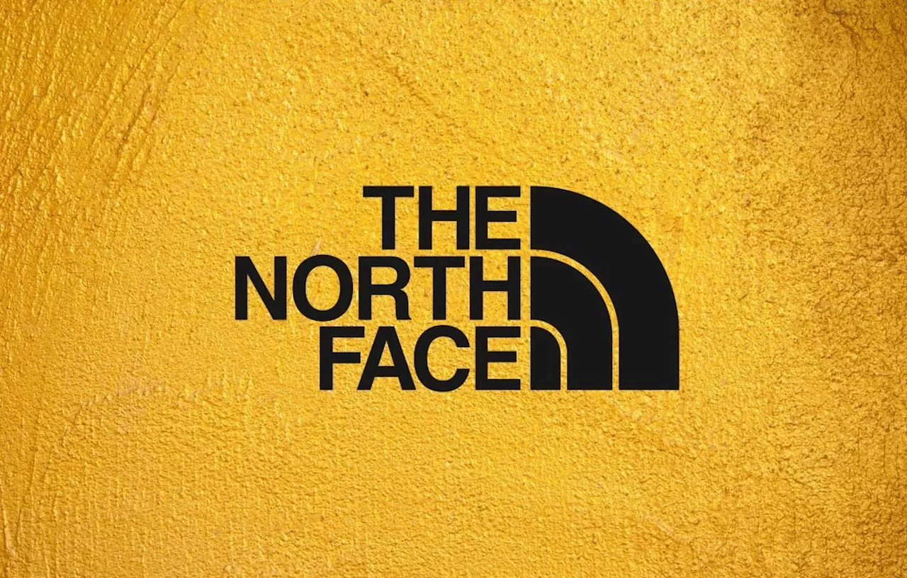 The North Face : Des Offres Inédit sur Amazon