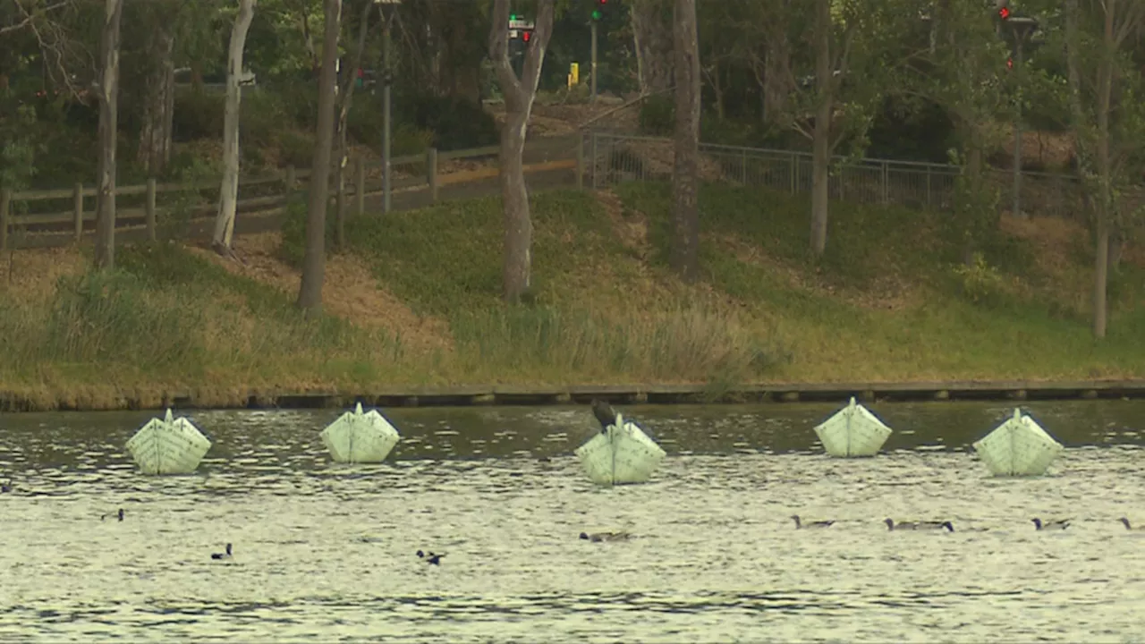 River Torrens in Adelaide closed due to high levels of E.coli bacteria in water