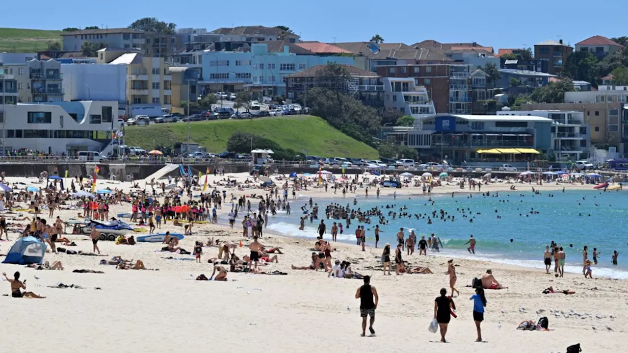 Total fire ban declared for Sydney and large parts of NSW as city braces for hottest day this summer