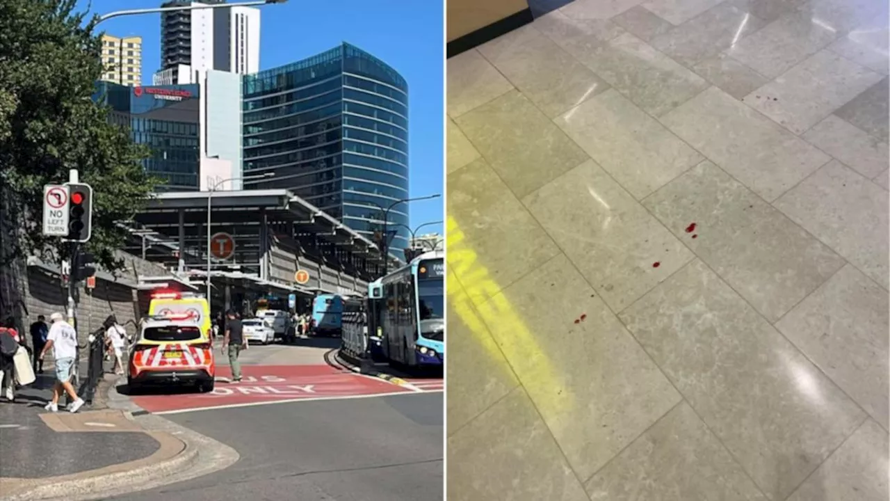 Teen Stabbed at Sydney Shopping Centre in Targeted Attack