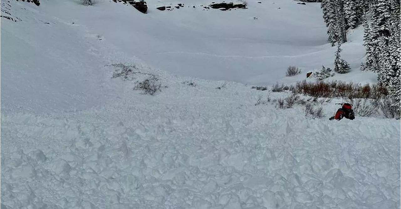 US man triggers avalanche and saves brother buried under snow