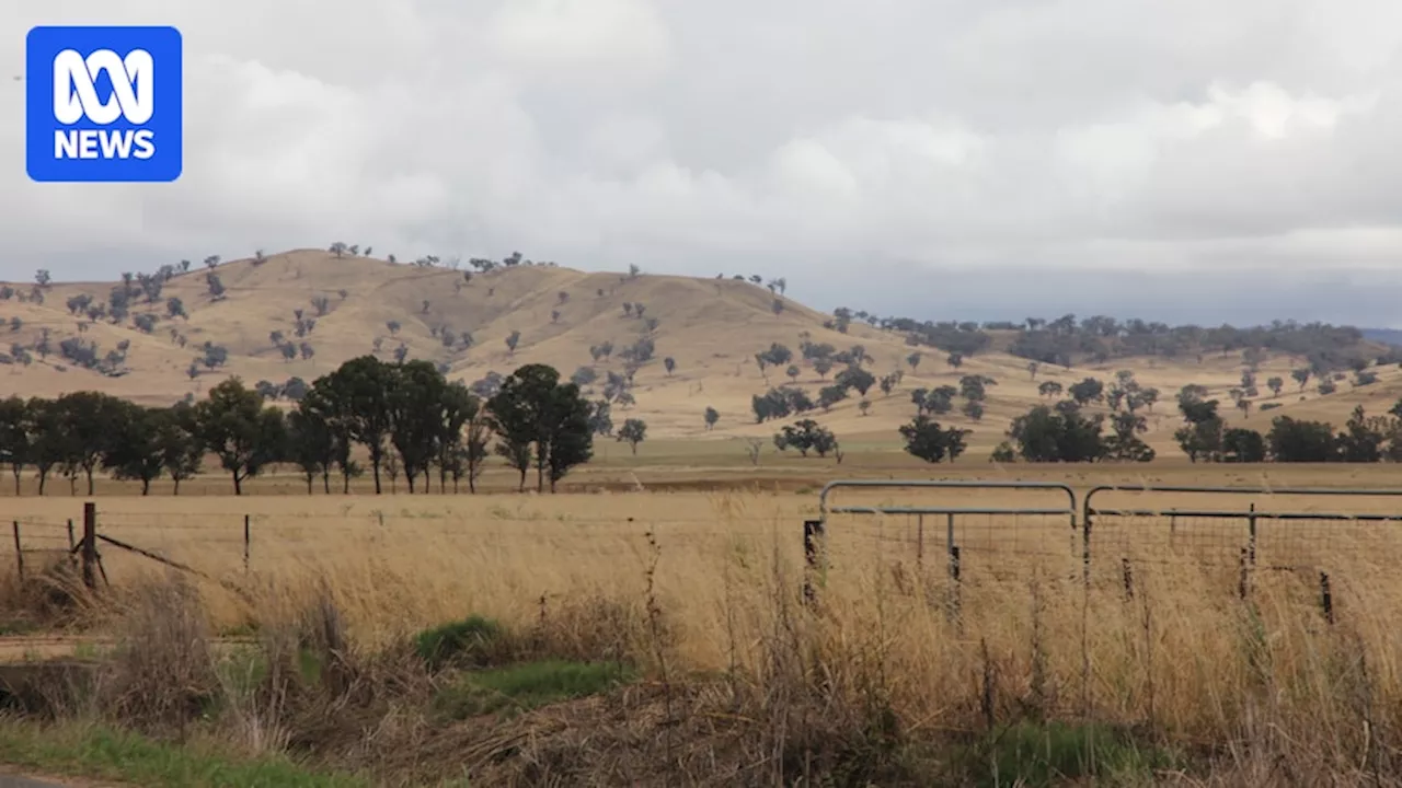 Farmers in southern NSW welcome rain but it is not enough to break drought