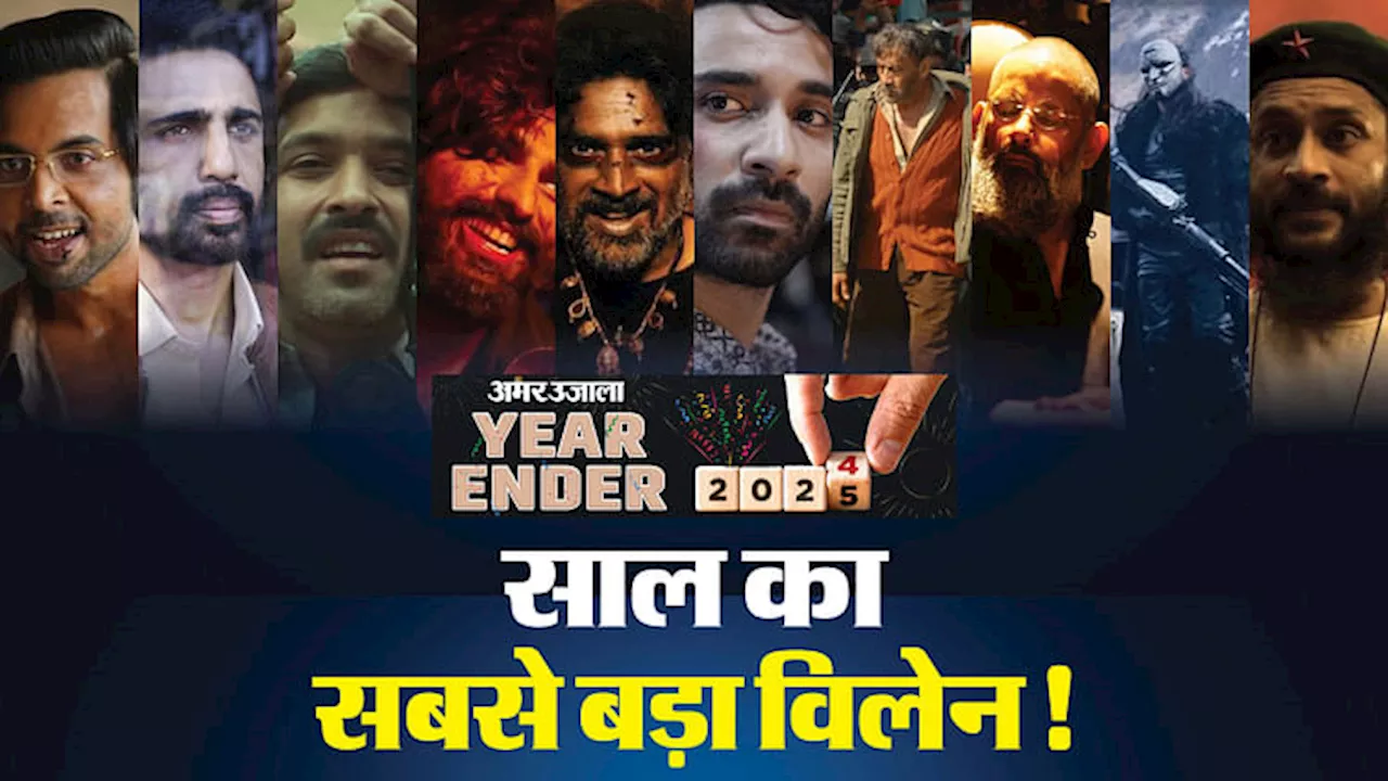 Year Ender 2024: खलनायकी में लोकप्रिय रहे हिंदी सिनेमा के ये 10 सितारे, देखिए कौन बना विलेन नंबर वन