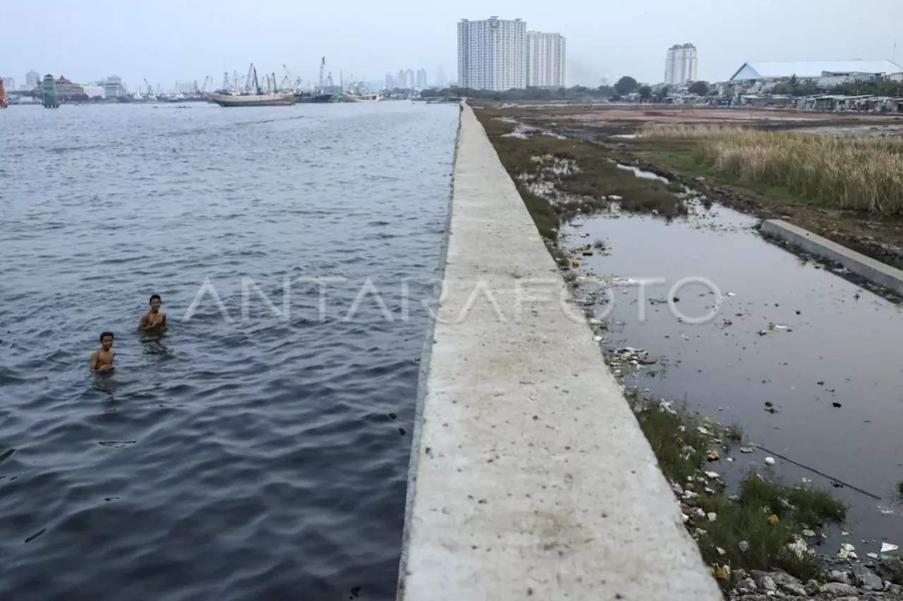 BPBD DKI Jakarta Imbau Warga Pesisir Waspadai Banjir Rob