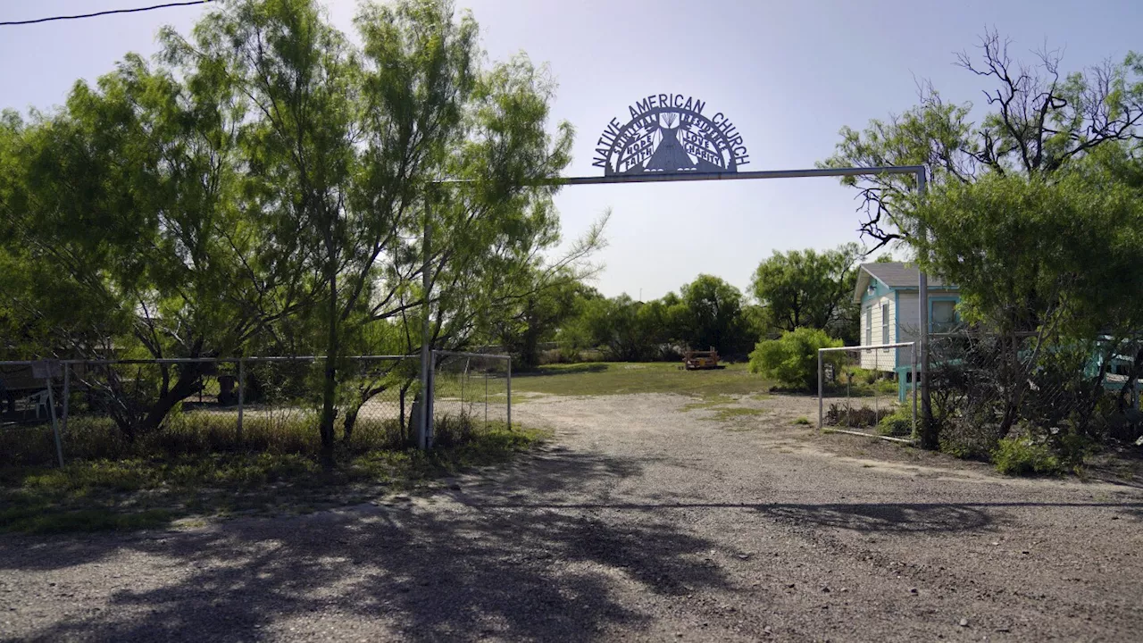 What is the Native American Church and why is peyote sacred to members?