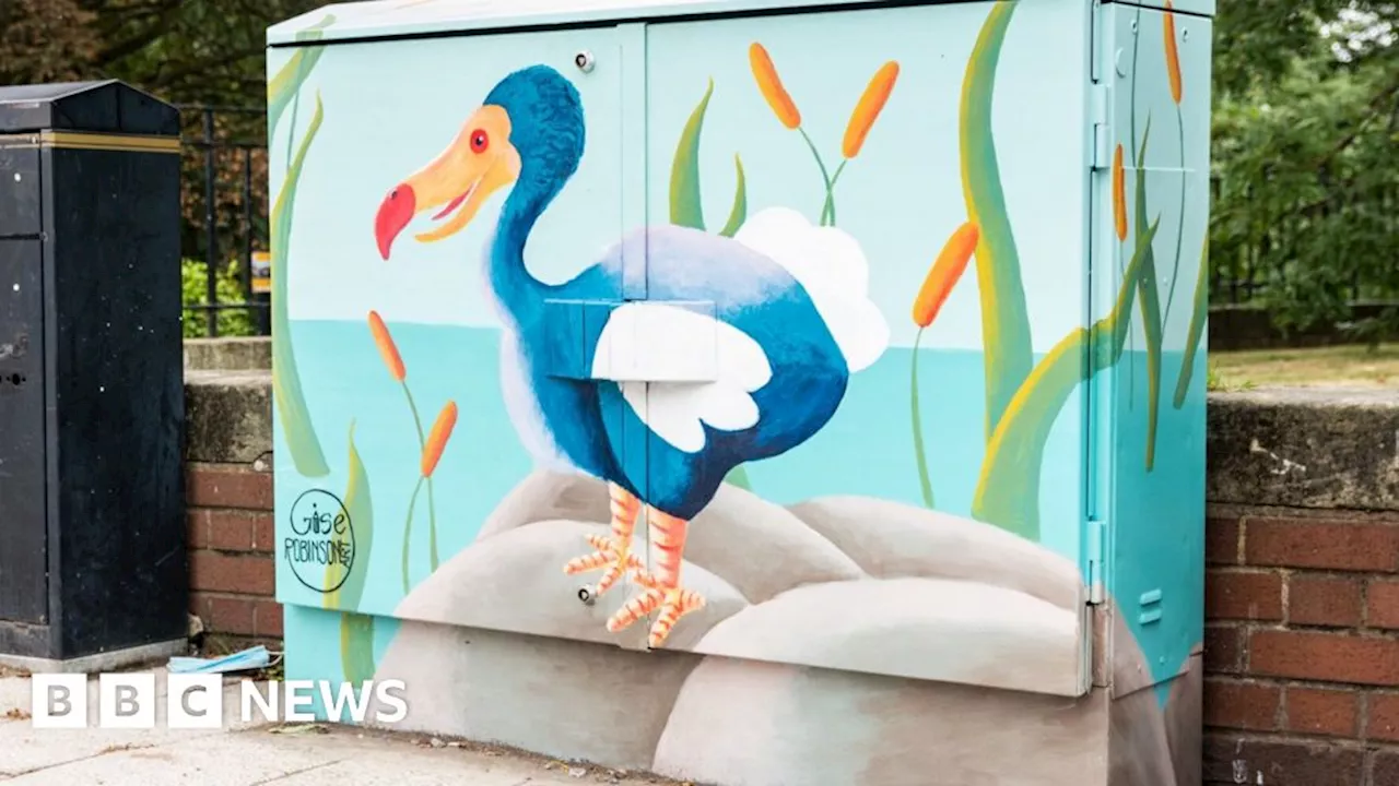 Murals to Transform Shrewsbury Town Centre