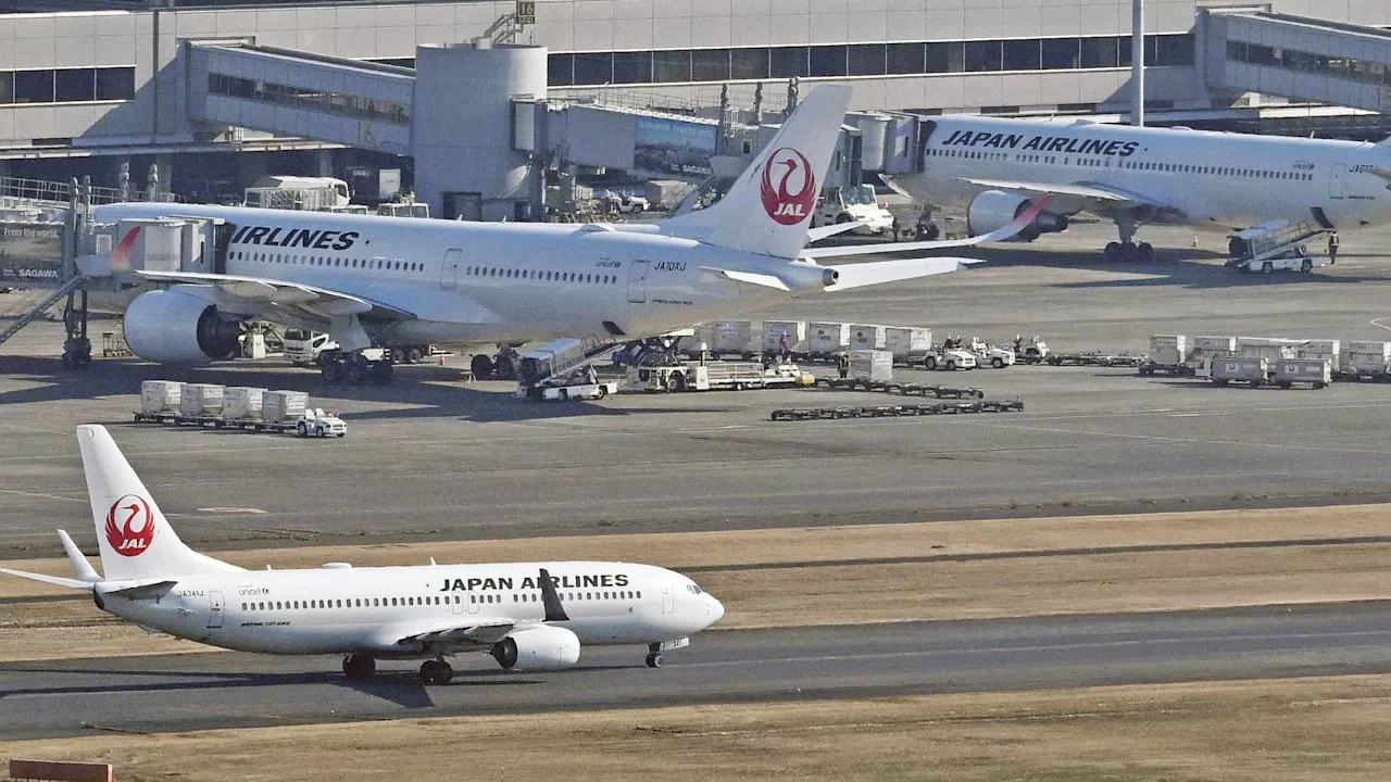 Japan: Cyberangriff legt Airline lahm | Leben & Wissen