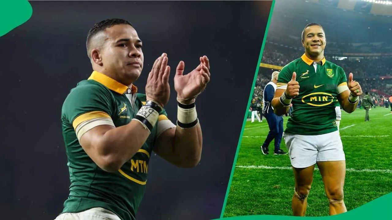 Cheslin Kolbe's 2024: A Year of Triumph and Pride for South Africa